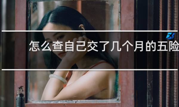 怎么查自己交了几个月的五险