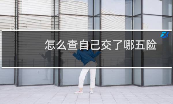 怎么查自己交了哪五险