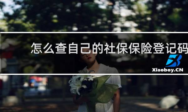 怎么查自己的社保保险登记码
