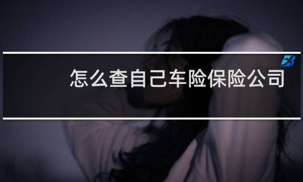 怎么查自己车险保险公司