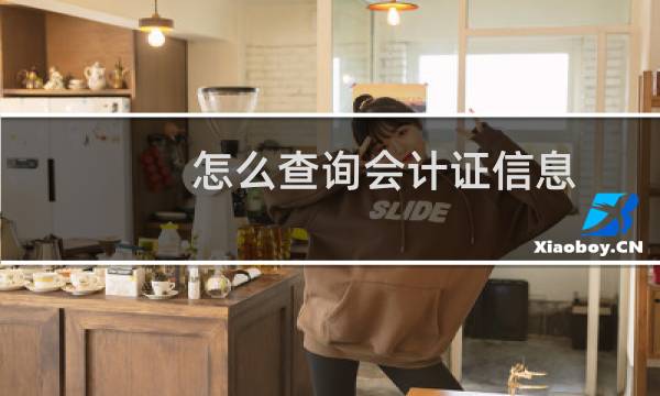 怎么查询会计证信息