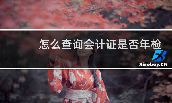 怎么查询会计证是否年检