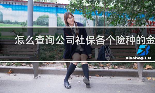 怎么查询公司社保各个险种的金额