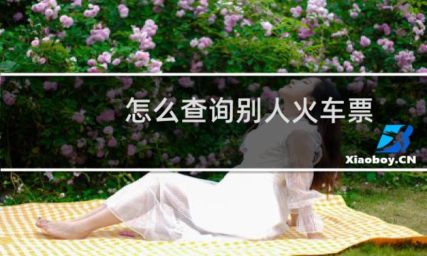 怎么查询别人火车票