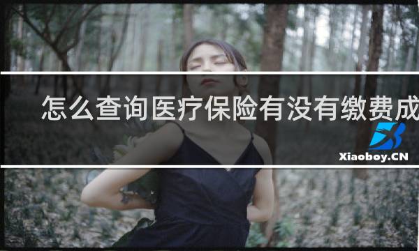 怎么查询医疗保险有没有缴费成功