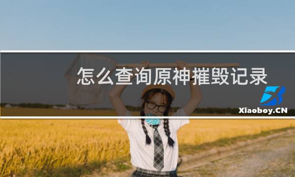 怎么查询原神摧毁记录