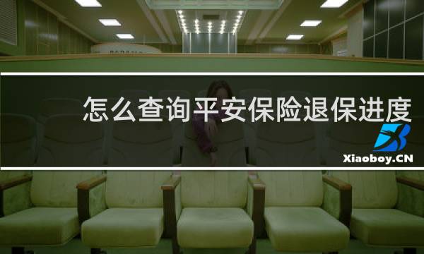怎么查询平安保险退保进度