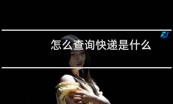 怎么查询快递是什么