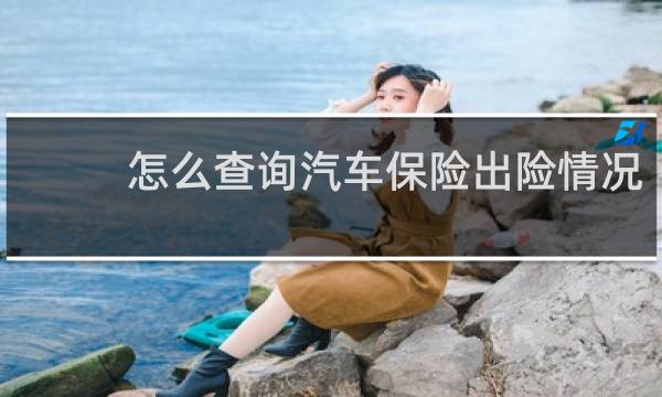 怎么查询汽车保险出险情况