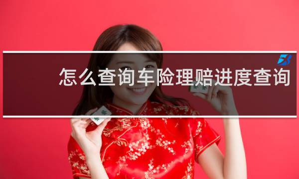 怎么查询车险理赔进度查询