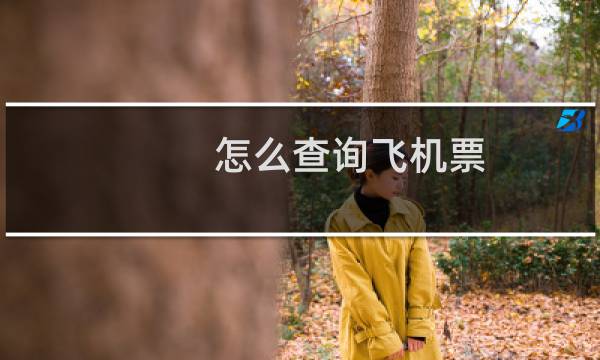 怎么查询飞机票