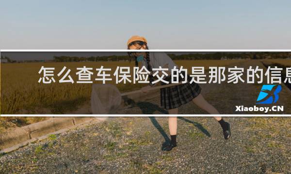 怎么查车保险交的是那家的信息
