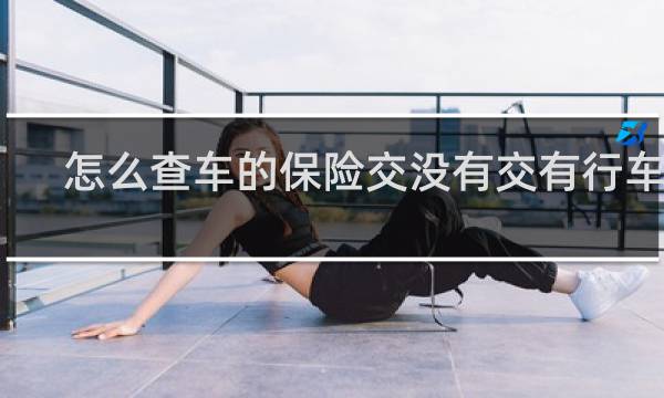 怎么查车的保险交没有交有行车本