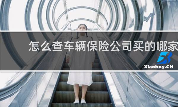怎么查车辆保险公司买的哪家