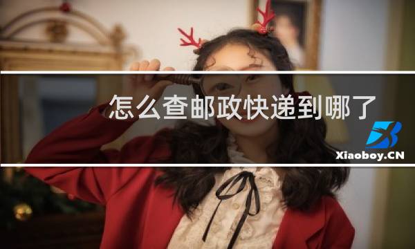 怎么查邮政快递到哪了