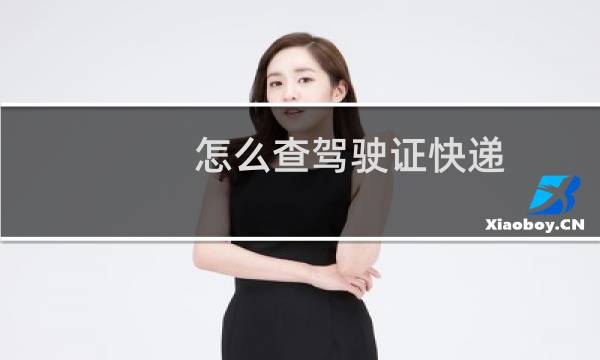怎么查驾驶证快递