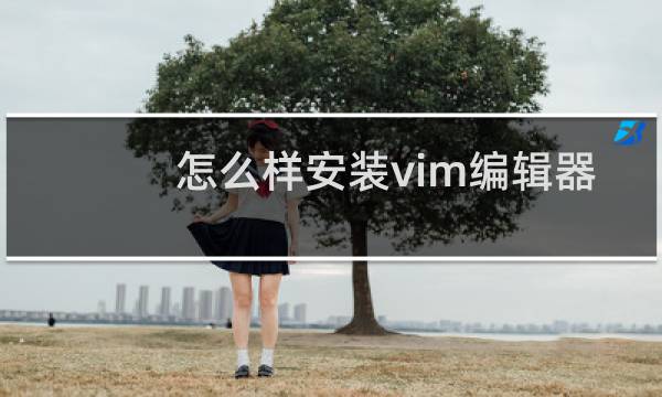 怎么样安装vim编辑器
