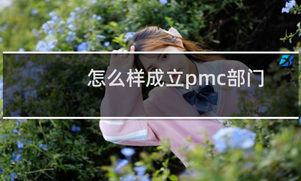怎么样成立pmc部门
