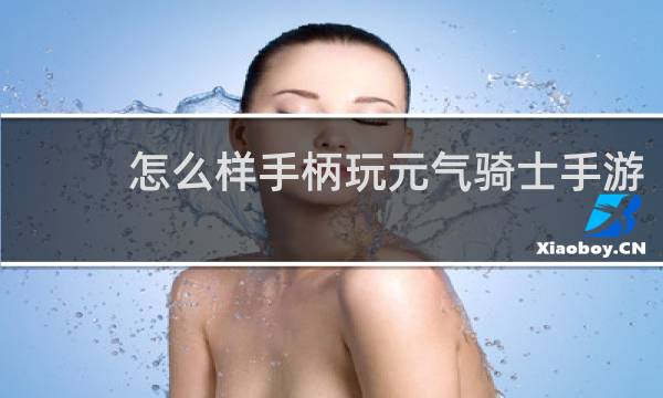 怎么样手柄玩元气骑士手游