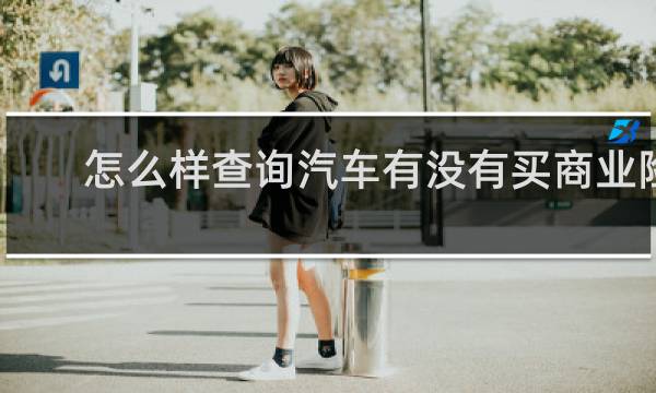 怎么样查询汽车有没有买商业险