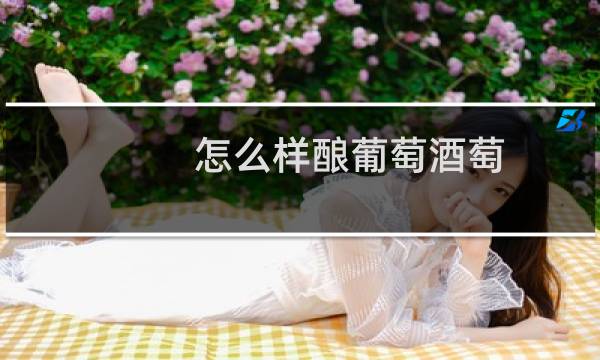 怎么样酿葡萄酒萄