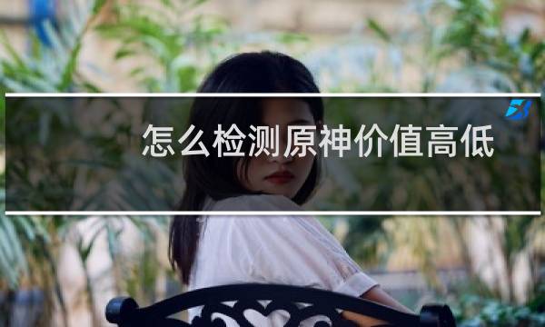 怎么检测原神价值高低