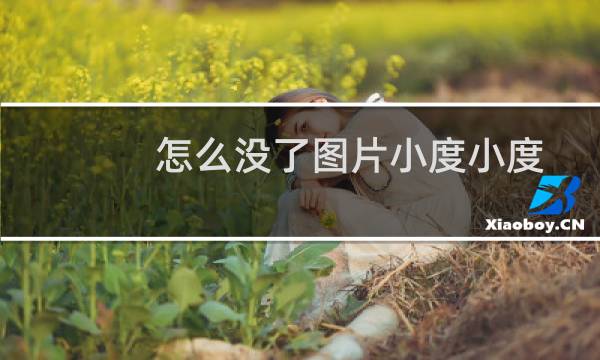 怎么没了图片小度小度