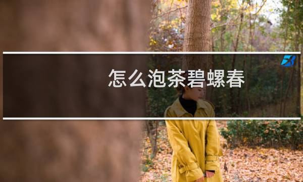 怎么泡茶碧螺春