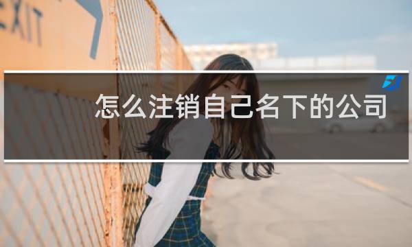 怎么注销自己名下的公司