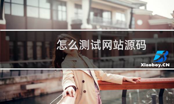 怎么测试网站源码