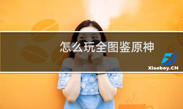 怎么玩全图鉴原神