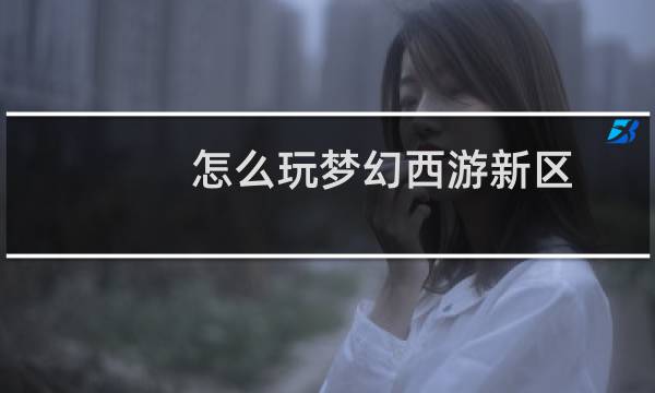 怎么玩梦幻西游新区