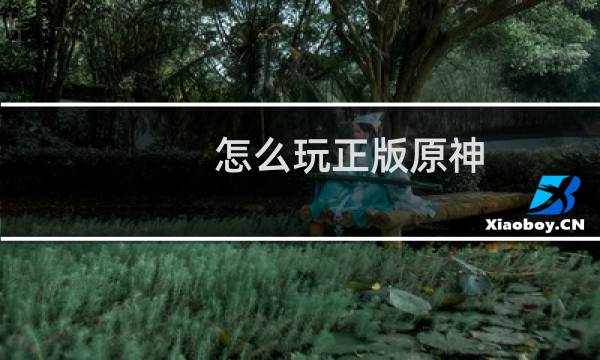 怎么玩正版原神