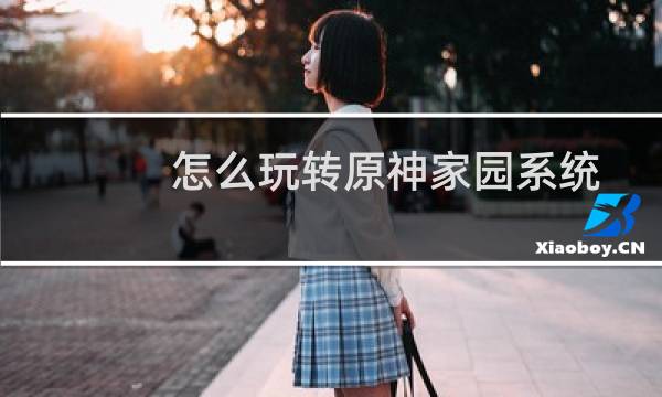 怎么玩转原神家园系统