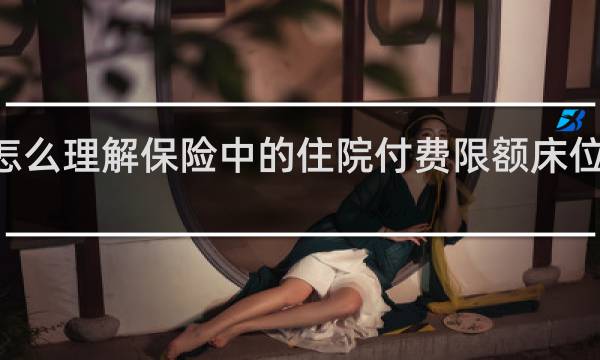 怎么理解保险中的住院付费限额床位费300