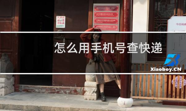 怎么用手机号查快递