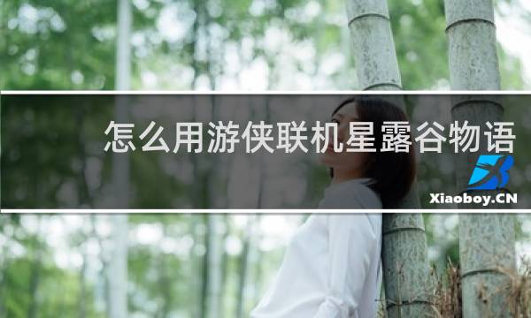 怎么用游侠联机星露谷物语