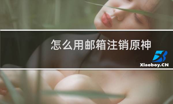 怎么用邮箱注销原神