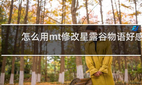 怎么用mt修改星露谷物语好感