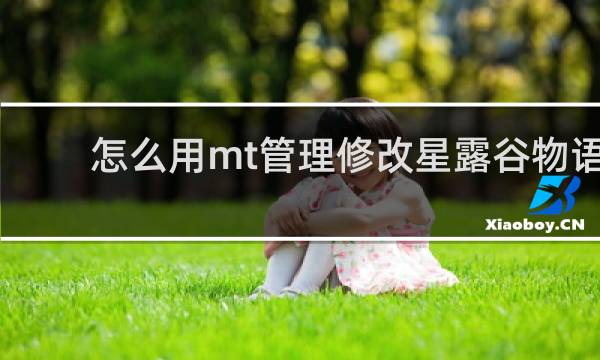 怎么用mt管理修改星露谷物语