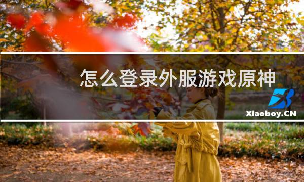 怎么登录外服游戏原神
