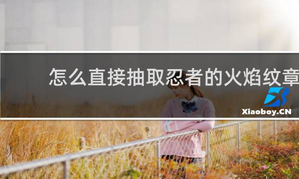 怎么直接抽取忍者的火焰纹章