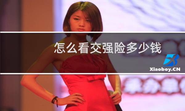 怎么看交强险多少钱