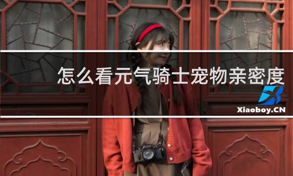怎么看元气骑士宠物亲密度