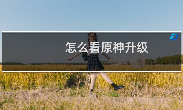 怎么看原神升级