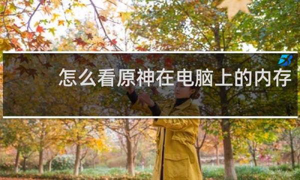 怎么看原神在电脑上的内存