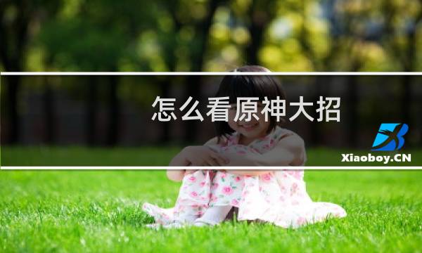 怎么看原神大招