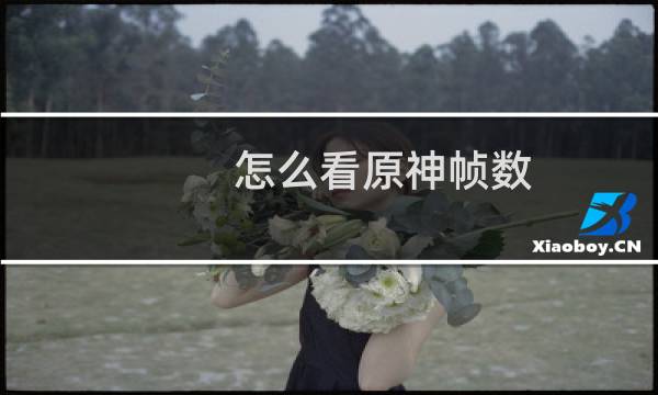 怎么看原神帧数