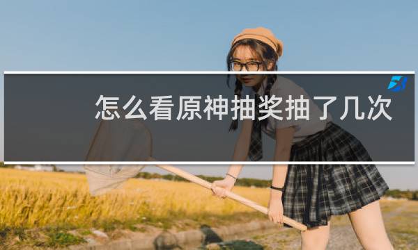 怎么看原神抽奖抽了几次