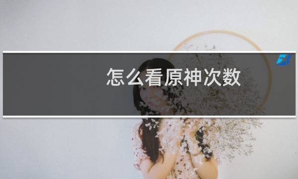 怎么看原神次数